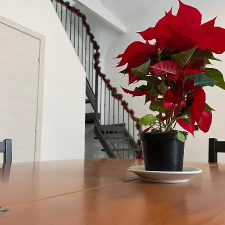 게스트하우스 Centro Storico 3*